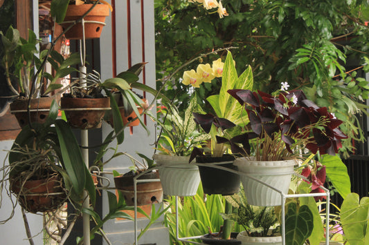 balcony garden