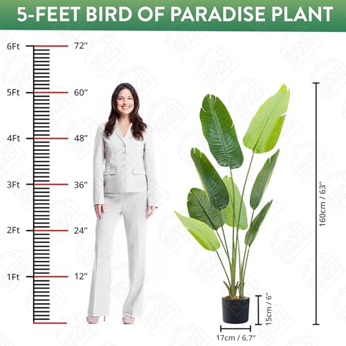 ABOUT SPACE 5 ft Artificial Birds Of Paradise Plant Decor Banana Plants with Pot & 8 Leaves