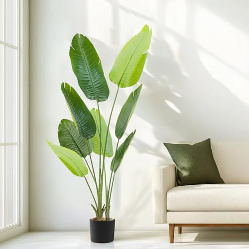 ABOUT SPACE 5 ft Artificial Birds Of Paradise Plant Decor Banana Plants with Pot & 8 Leaves
