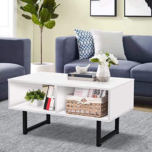 ABOUT SPACE Coffee Table with Storage & Metal Stand L 3 X B 1.5 X 1.5 Ft - White