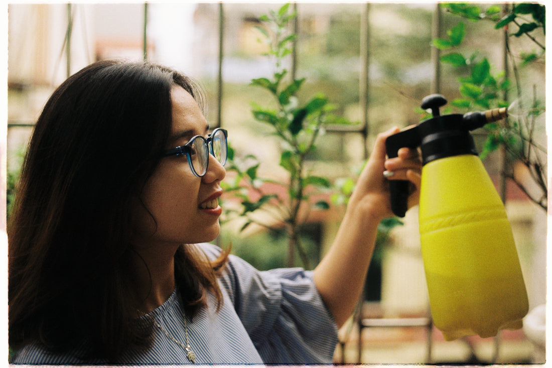 How does Bottom Watering differ from Top Watering