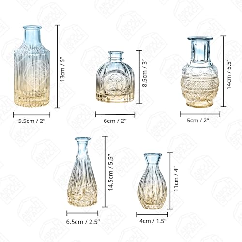 ABOUT SPACE Glass Bud Flower Vase – Pack of 5 Glass Centrepiece Mini Flower Vase - Gradient
