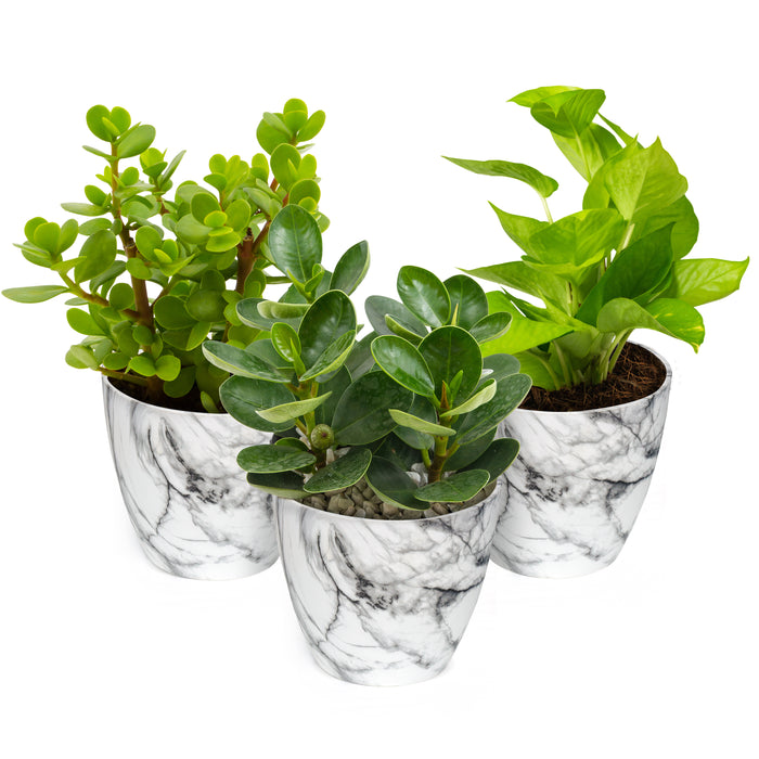 Marble Style Plastic Pots (Set of 3)