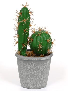 Artificial Cactus Plant