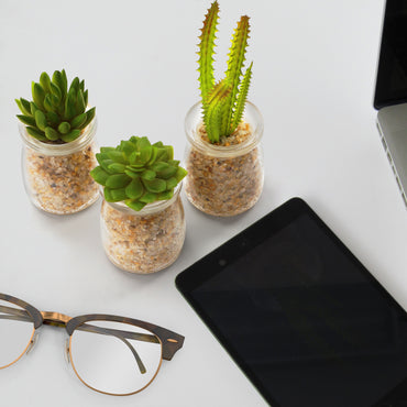 Artificial Succulent Glass Planters (Set of 4)