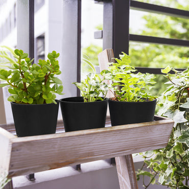 Black Herb Planters (Set of 6)