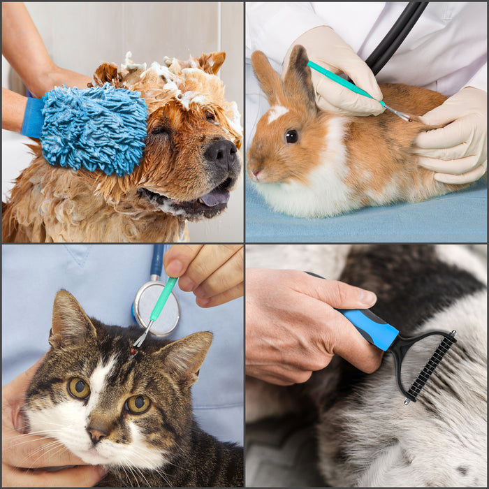 Pet Grooming Accessories Kit