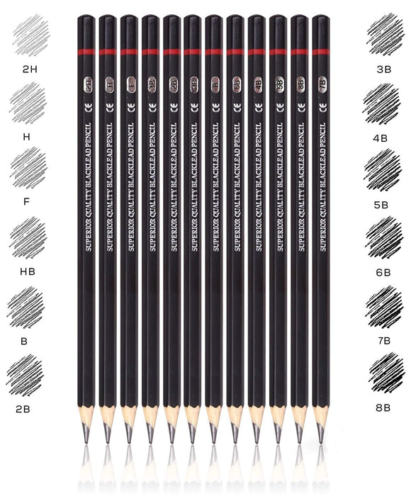 Artist Grade Pencils with Metal Case (Set of 12)